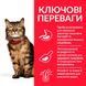 Сухий корм для котів при чутливому травленні та шкірі, з куркою Hill's Science Plan Adult Sensitive Stomach&Skin, 300 г 604074 фото 4