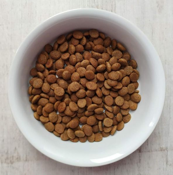 Сухий корм для кошенят, з лососем Nature's Protection Lifestyle Grain Free Salmon Kitten, 400 г NPLS45952 фото