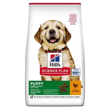 Сухий корм для цуценят великих порід, з куркою Hill&rsquo;s Science Plan Puppy Large Breed, 2,5 кг 604304 фото