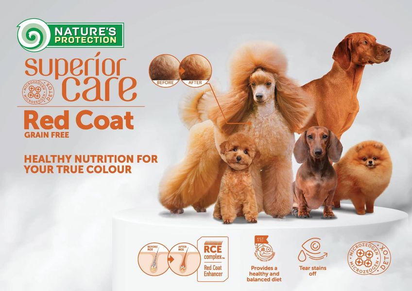 Сухий корм для собак з рудою шерстю, з ягням Nature's Protection Superior Care Red Coat Grain Free Adult All Breeds with Lamb, 4 кг NPSC47236 фото