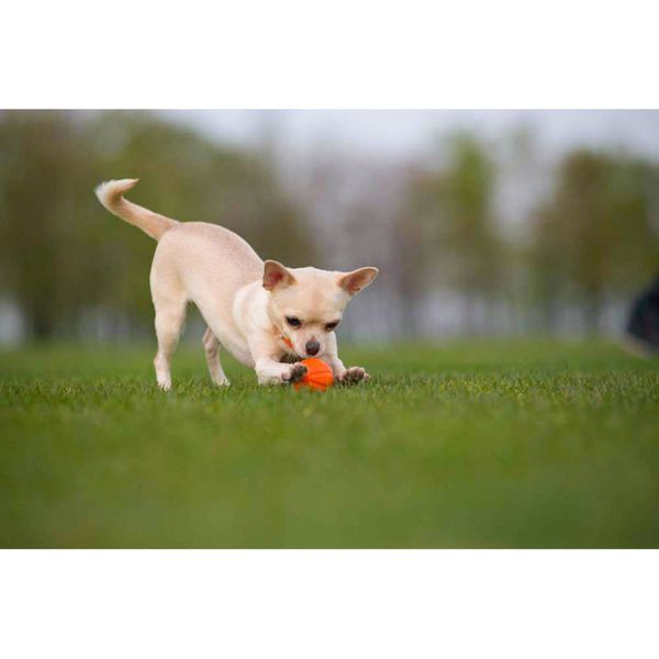 Іграшка для собак М'ячик Liker, 5 см 6298 фото
