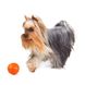 Іграшка для собак М'ячик Liker, 5 см 6298 фото 5