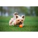 Іграшка для собак М'ячик Liker, 5 см 6298 фото 6