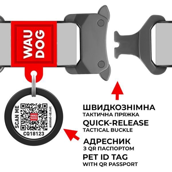 Нашийник для собак з QR паспортом Ліга справедливості, металевий фастекс Waudog, S 0015-2004 фото