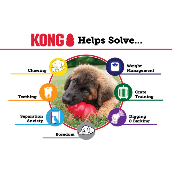 Іграшка для цуценят мініатюрних порід Груша-годівниця Kong Puppy, XS 131450 фото