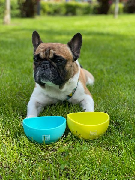 Миска складна Waudog Silicone Bowl, 250 мл, блакитний 50812 фото